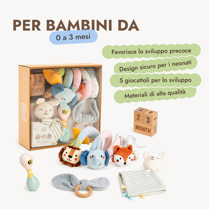 BabyBox — Kit di gioco per il primo anno (0–12 mesi)
